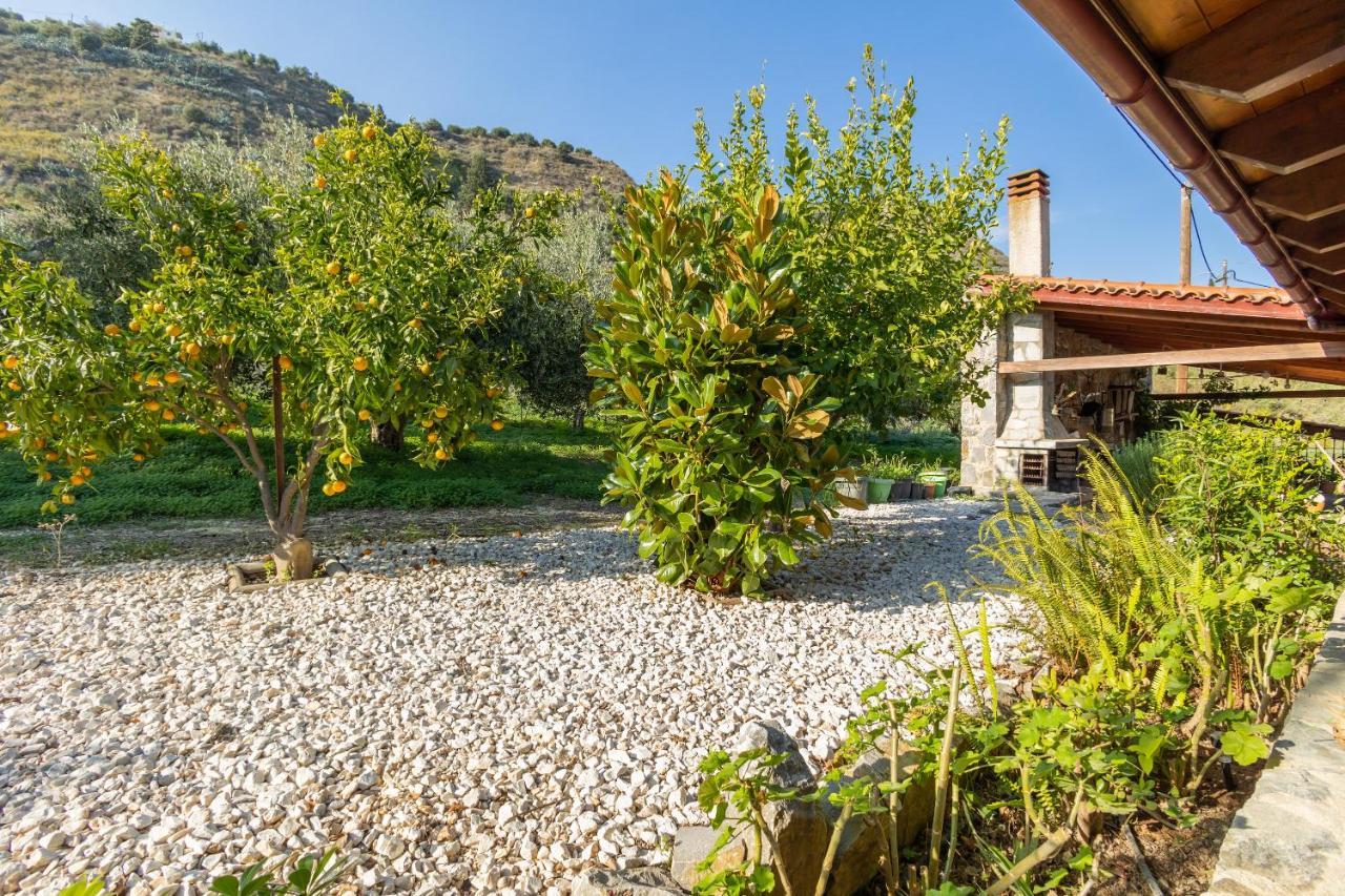Villa Galateia Dhafnes Exterior photo